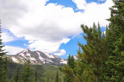 Mountainous Forest on a cloudy day Stock Photos