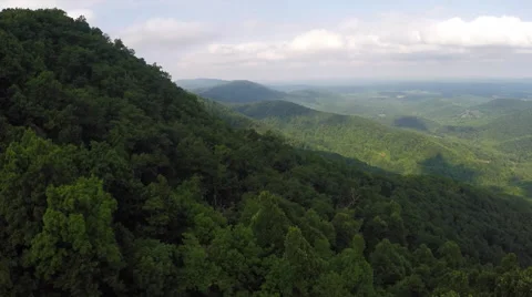Mountainous Forests Stock Footage 51020874