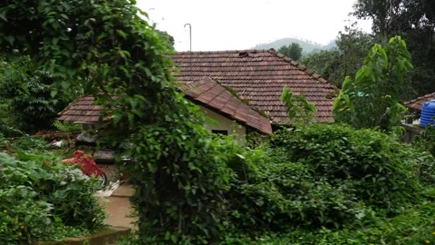 Mountainous house surrounded by trees and bushes Vídeo Stock 156967184