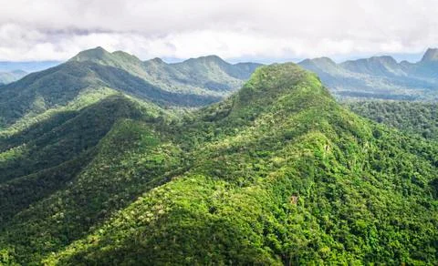 Mountainous jungle in Belize Stock Photos