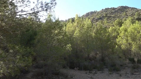 A mountainous landscape Stock Footage 96211190