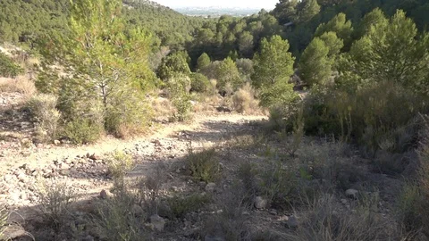 A mountainous landscape Stock Footage 96211600