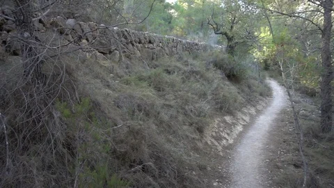 A mountainous landscape Stock Footage 96211765