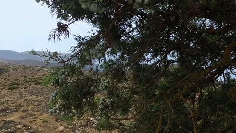 Mountainous landscape Stock Footage 122150911