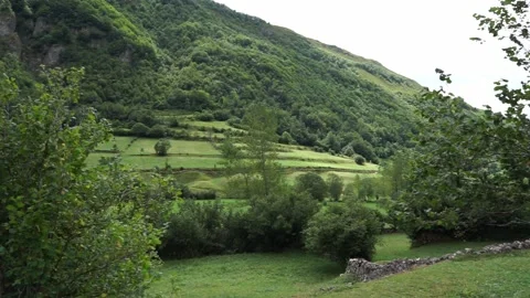 Mountainous landscape Stock Footage 138555908