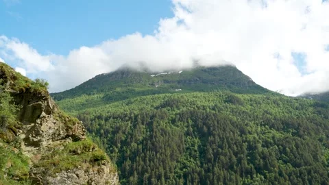 The mountainous landscape mixed terrain, forest, rocks, snow Stock Footage 342713878