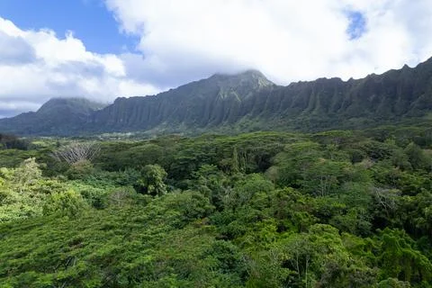 Mountainous Landscape Stock Photos