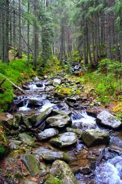 Mountainous rapid river Stock Photos