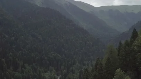 Mountainous relief in the forests. Stock Footage 150107351