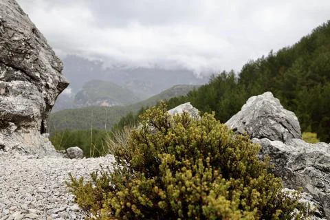 Mountainous rocky path Stock-Fotos