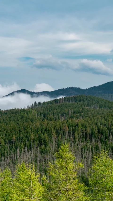 Mountainous Tatra Scenery with Cumulus Clouds Timelapse Stock Footage 309655612