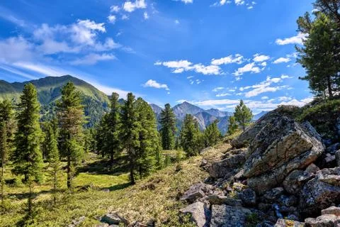 Mountainous territory Stock Photos