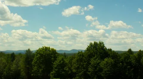 Mountainous trees and cloud timelapse Video stock 11633170