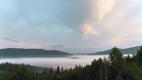 Mountains above the clouds covered by pine trees on Carpathian mountains Stock Photos