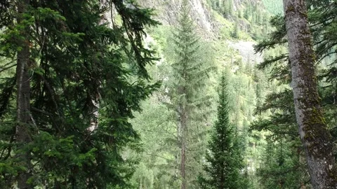 Mountains above the forest Stock Footage 136914886