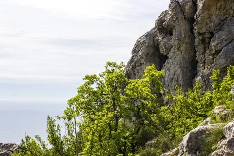 Mountains in the afternoon Stock Photos