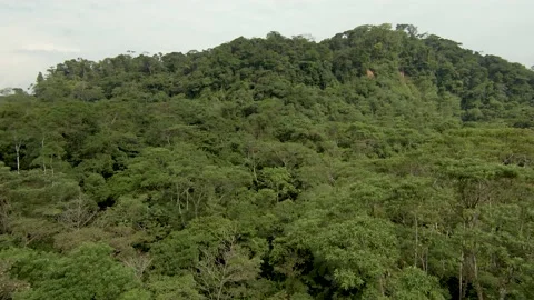 Mountains and Amazon rainforest of Tena - Ecuador Stock Footage 159608896