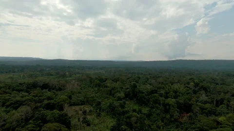 Mountains and Amazon rainforest of Tena - Ecuador Stock Footage 159608940