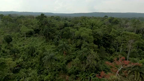 Mountains and Amazon rainforest of Tena - Ecuador Stock Footage 159609150