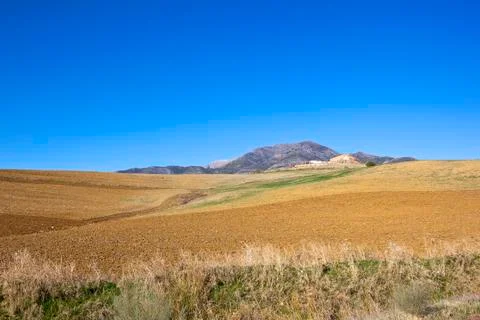 Mountains and arable fields Stock Photos