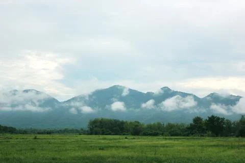 Mountains and clouds on the rice fields Stock Photos