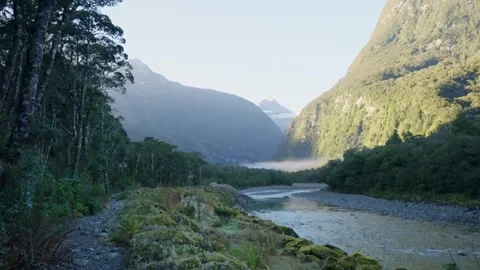 Mountains and dense forest by river flowing in Milford Sound in New Zealand Stock Footage 289417053