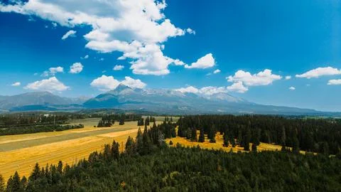 Mountains and fields under blue sky with clouds in summer. Green forests an.. Stock Photos