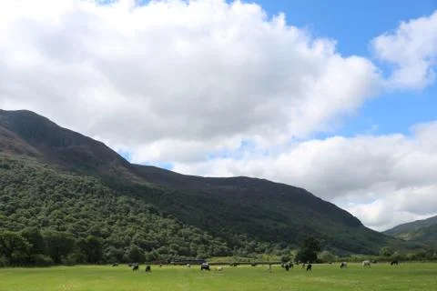 Mountains and flat fields in the Lake District, UK Stock Photos