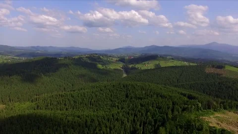 Mountains and Forest. Aerial View. Blue sky. Shadow of fluffy cloud Stock Footage 74237356