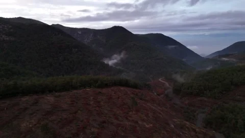 Mountains and Forest after the Rain (Aerial Footage) Stock Footage 300698907