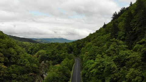Mountains and forest from the air. Stock Footage 118161146