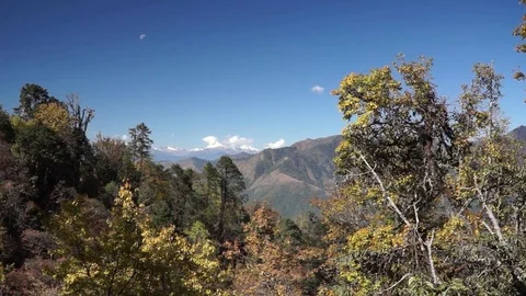 Mountains and forest. Bhutan 스톡 동영상 84125789