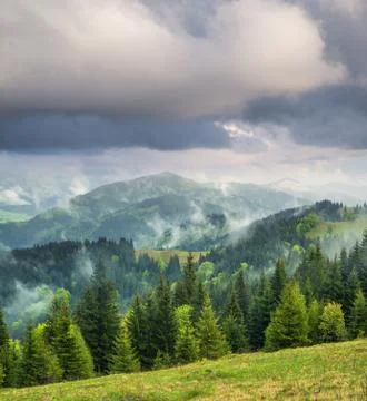 Mountains and forest in clouds Stock Photos