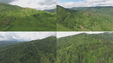 Mountains and forest. Ecotourism. Split Screen Stock Footage 255998777