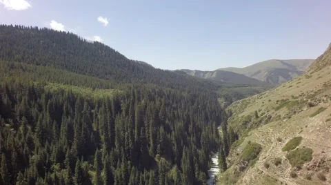 Mountains and the forest 動画素材 54576890