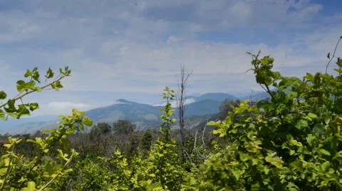 Mountains and forest 動画素材 62403584