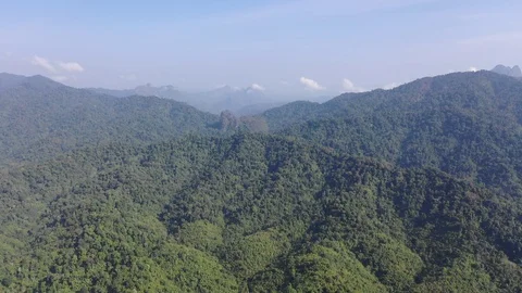 Mountains and forest Stock-Footage 102503758