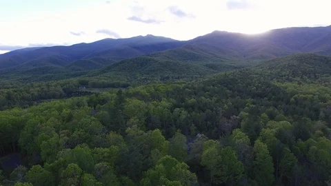 Mountains and Forest Stock Footage 128545023