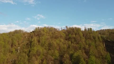 Mountains and forest Video stock 159363598