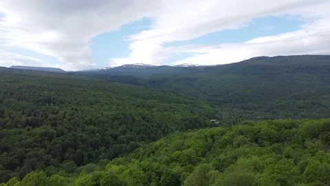 Mountains and forest Stock Footage 231302944
