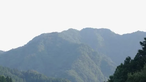 Mountains and forest from high ground in Japan Stock Footage 162706624