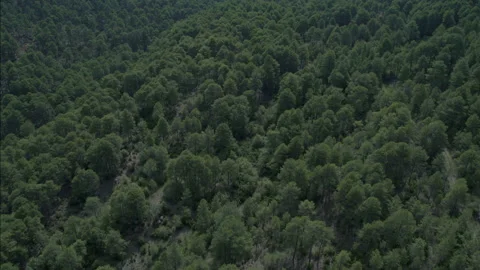 Mountains And Forest Landscape In Cuenca, Spain Stock Footage 231336784