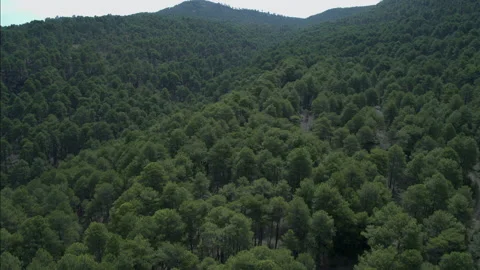Mountains And Forest Landscape In Cuenca, Spain Stock Footage 231337314