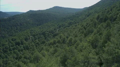 Mountains And Forest Landscape In Cuenca, Spain Stock Footage 231337317