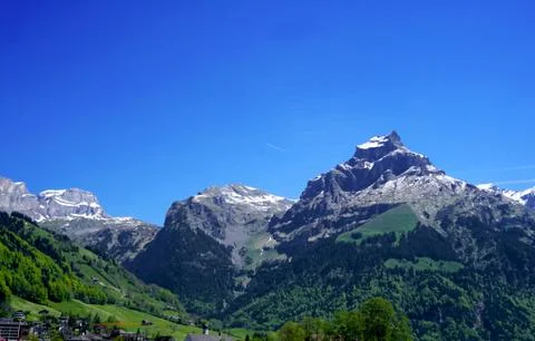 Mountains and forest Stock Photos