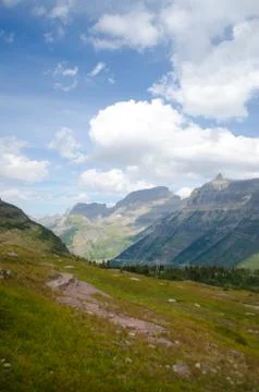 Mountains And Forest. Stock Photos