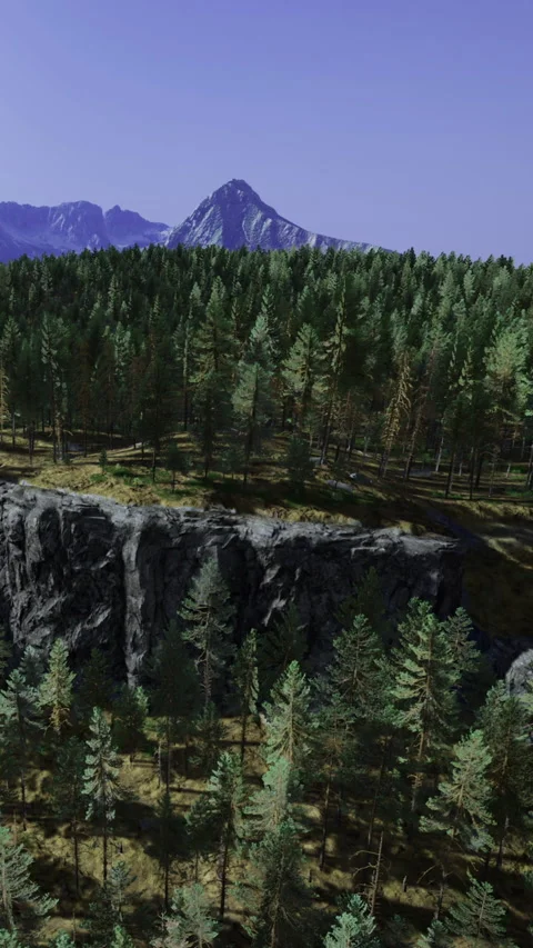 Mountains and forest view from a height during the daytime Stock Footage 333566503