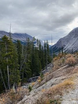 Mountains and forest in Yoho National Park, Canada. Stock Photos