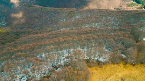 Mountains and forests Stock Footage 300777154