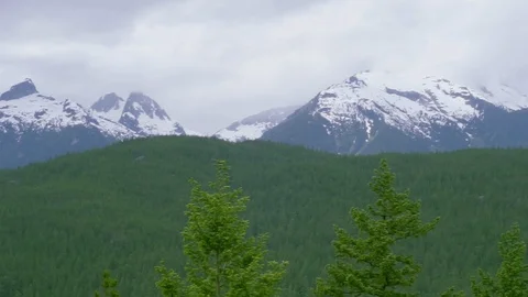 Mountains and forrest view Stock Footage 109668810